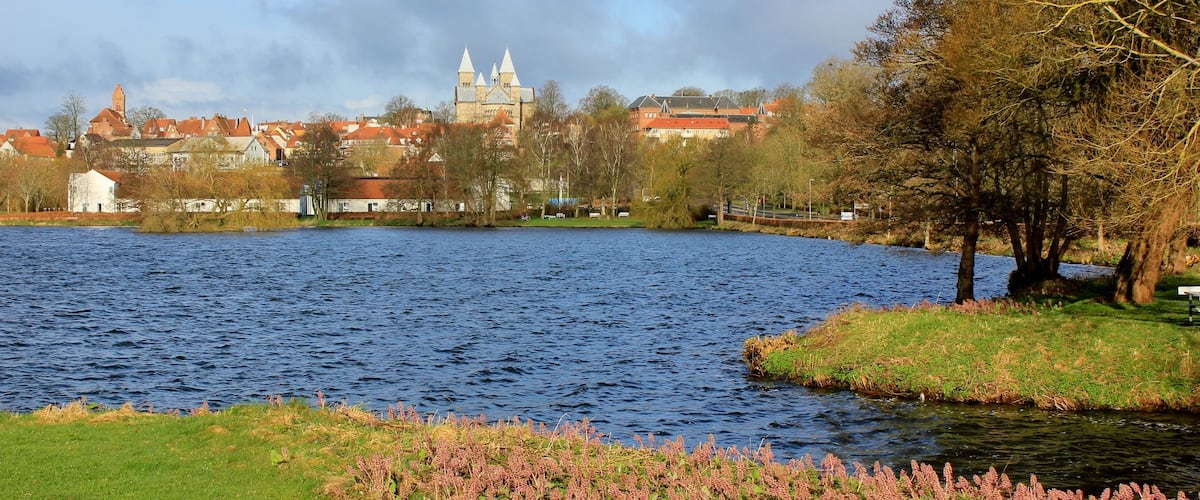 View of the city of Viborg, and Viborg Cathedral, seen from the lake; Soendersoe, (Søndersø) Jutland, Denmark