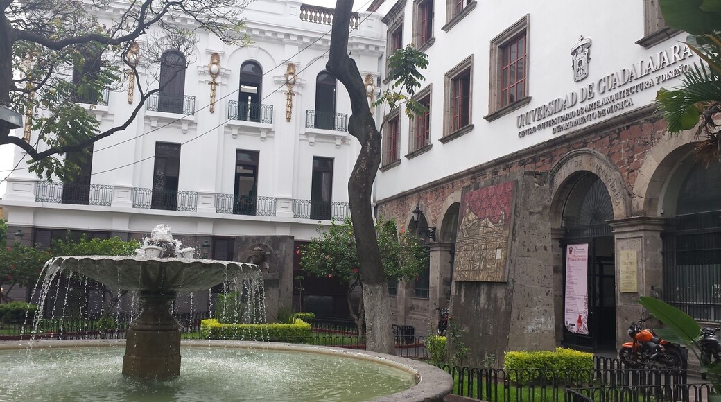 Such a vibrant city, with so much beauty.