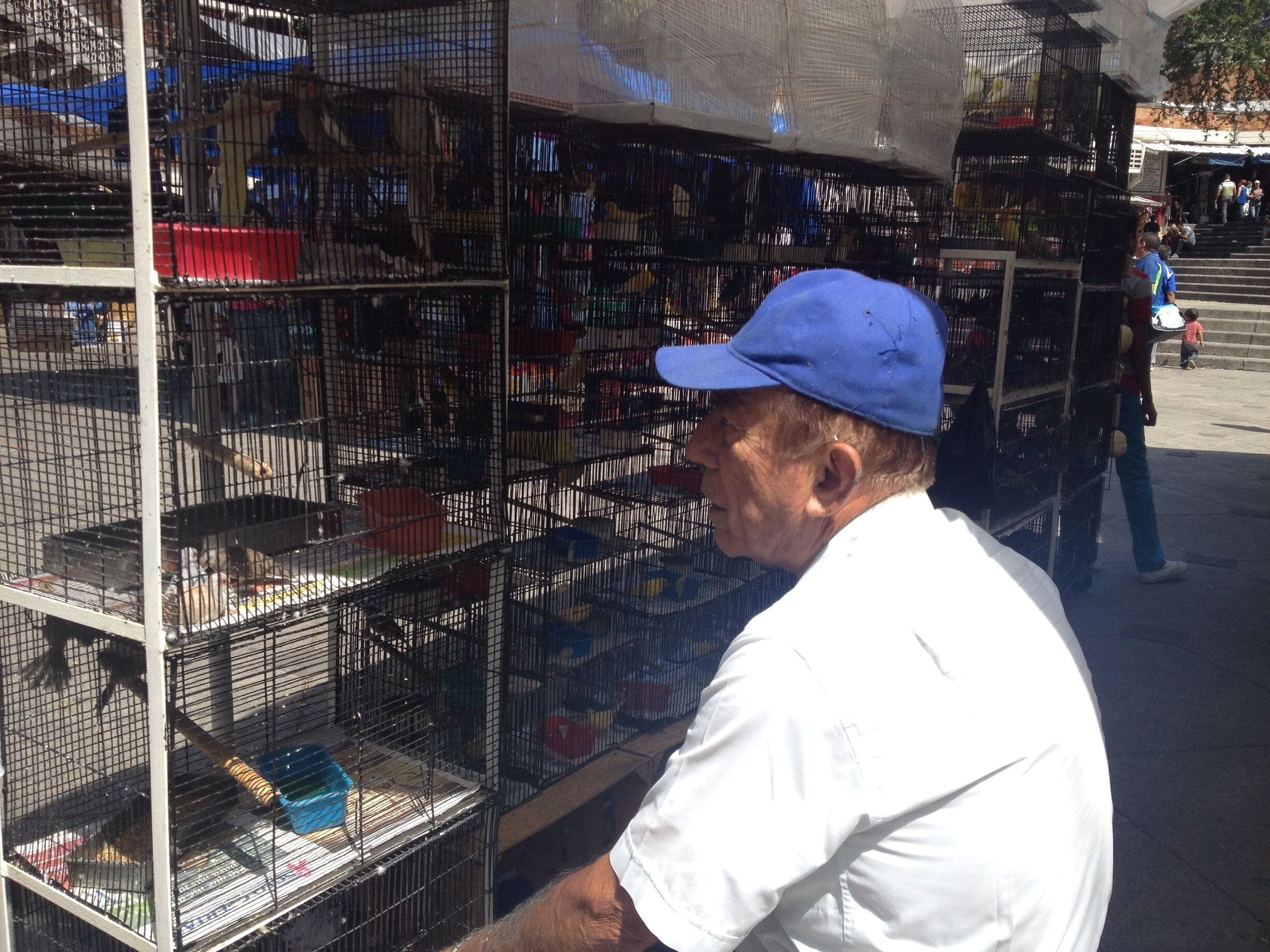 Someone interested? 
Bird seller at San Juan's market, the biggest and most important at Guadalajara
#outdoors #travel 