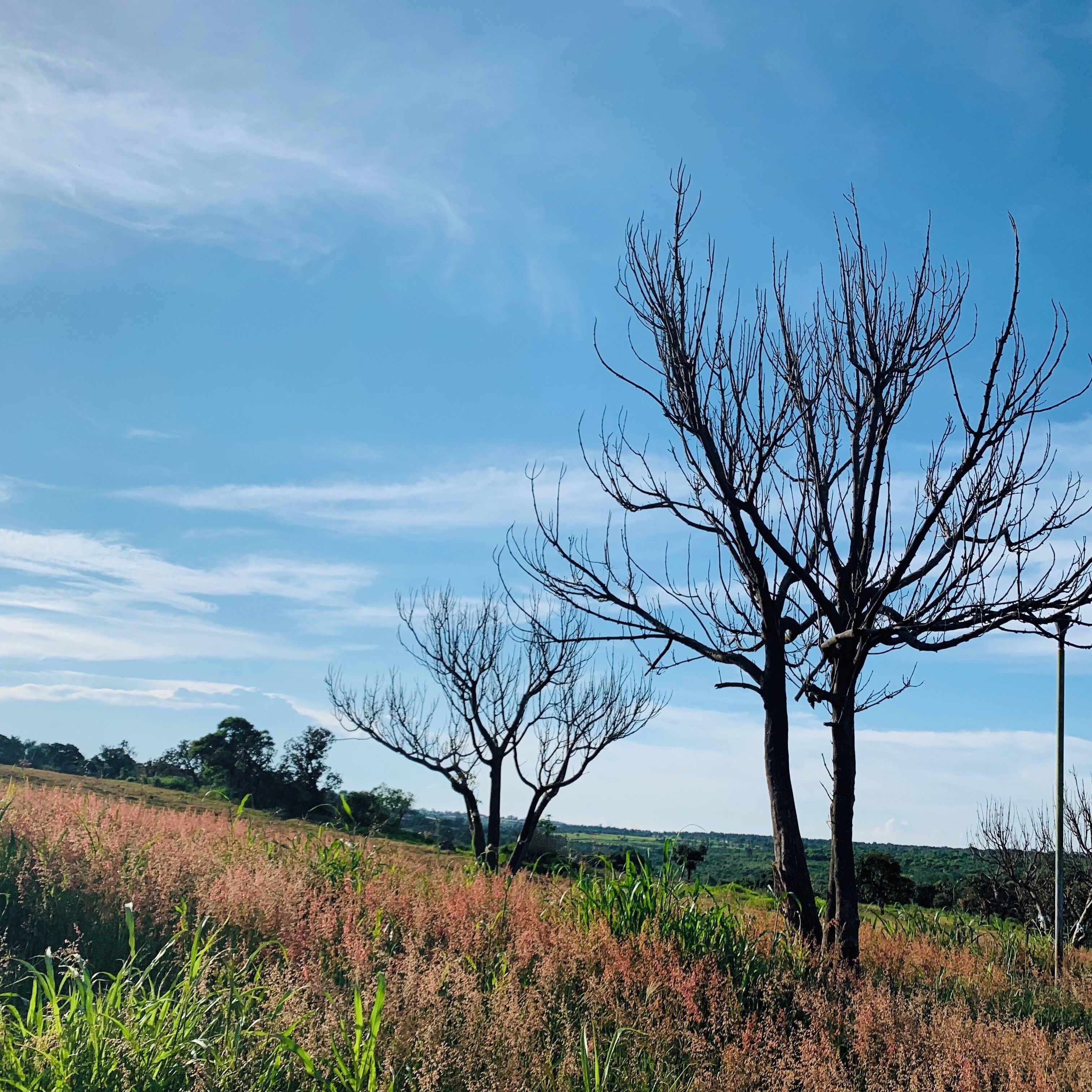 Where the city ends and the fields begin.