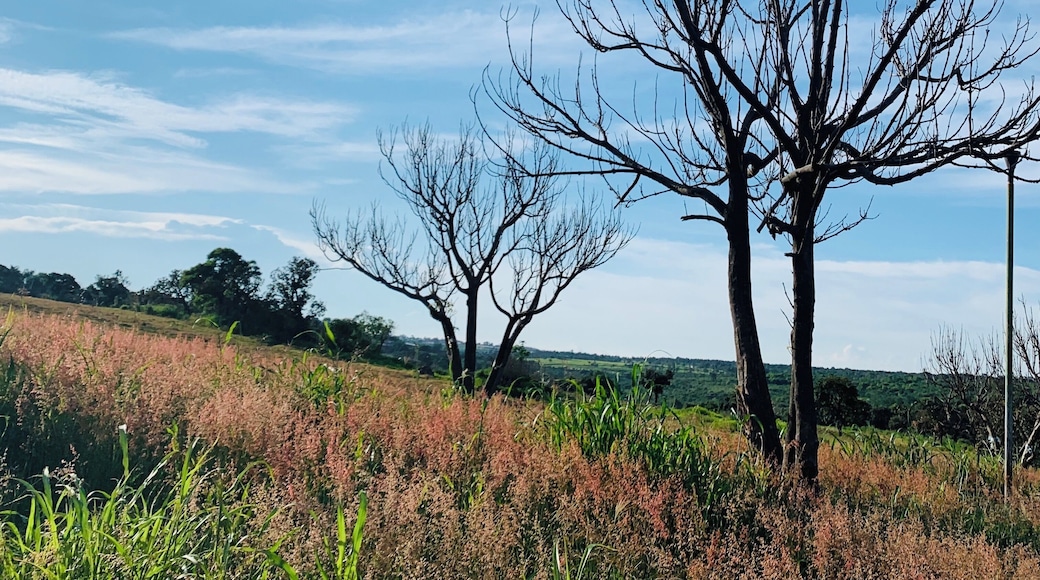 Where the city ends and the fields begin.