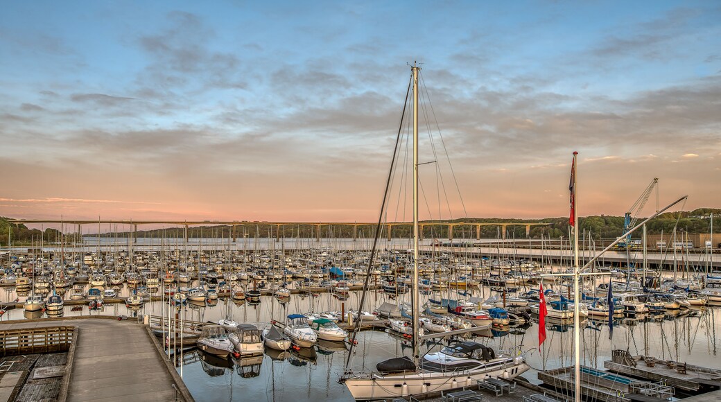 Vejle
