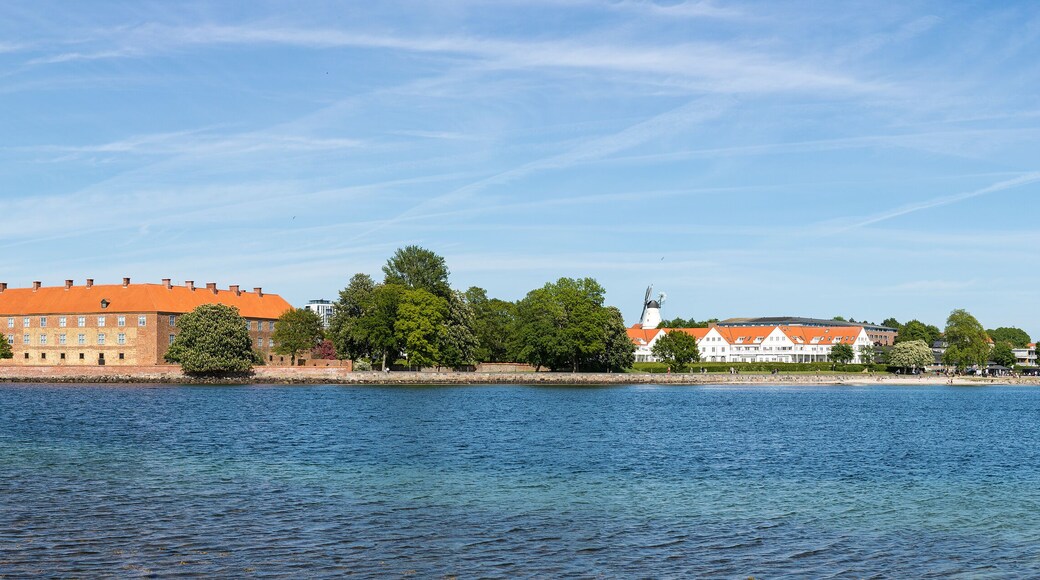 Sønderborg, Denmark - panorama with port and castle