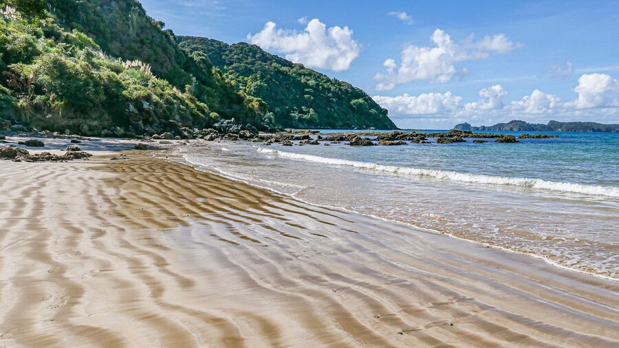 rippled beach at Wharakiki in New Sealand; Shutterstock ID 1397960204; Purchase Order: -