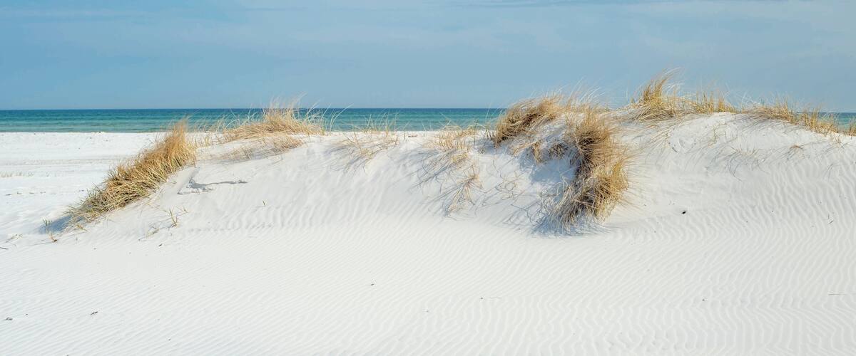 A sandy beach with dunes and the ocean in the background.