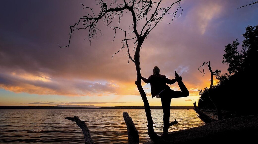 #Golden sunsets like these are fairly common in the Pacific Northwest. We camped here for a weekend.