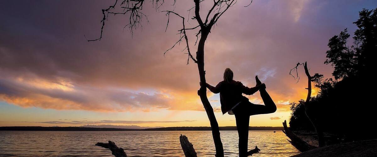 A silhouette of a person performing a yoga pose on a tree branch by a lake during sunset.