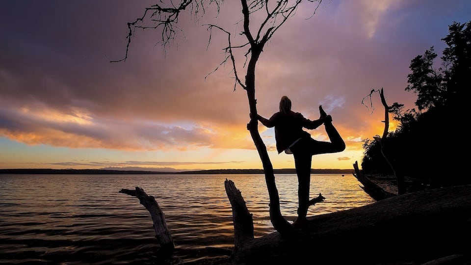 A silhouette of a person performing a yoga pose on a tree branch by a lake during sunset.
