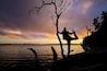 Eine Silhouette einer Person, die am See bei Sonnenuntergang auf einem Ast Yoga macht.