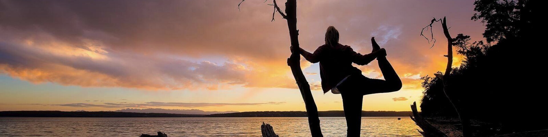 Silueta de una persona realizando una postura de yoga sobre una rama de árbol junto a un lago al atardecer.