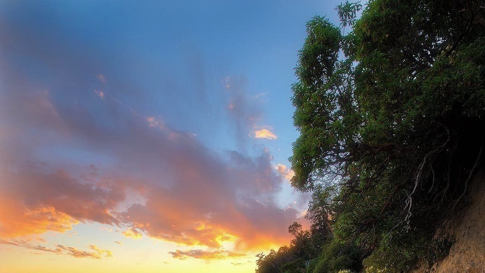 A sunset over a calm lake with driftwood along the shore.