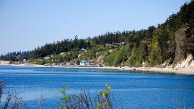 A beautiful day on Camano Island Washington of a lovely small community seascape photo of beach front homes and natural setting.