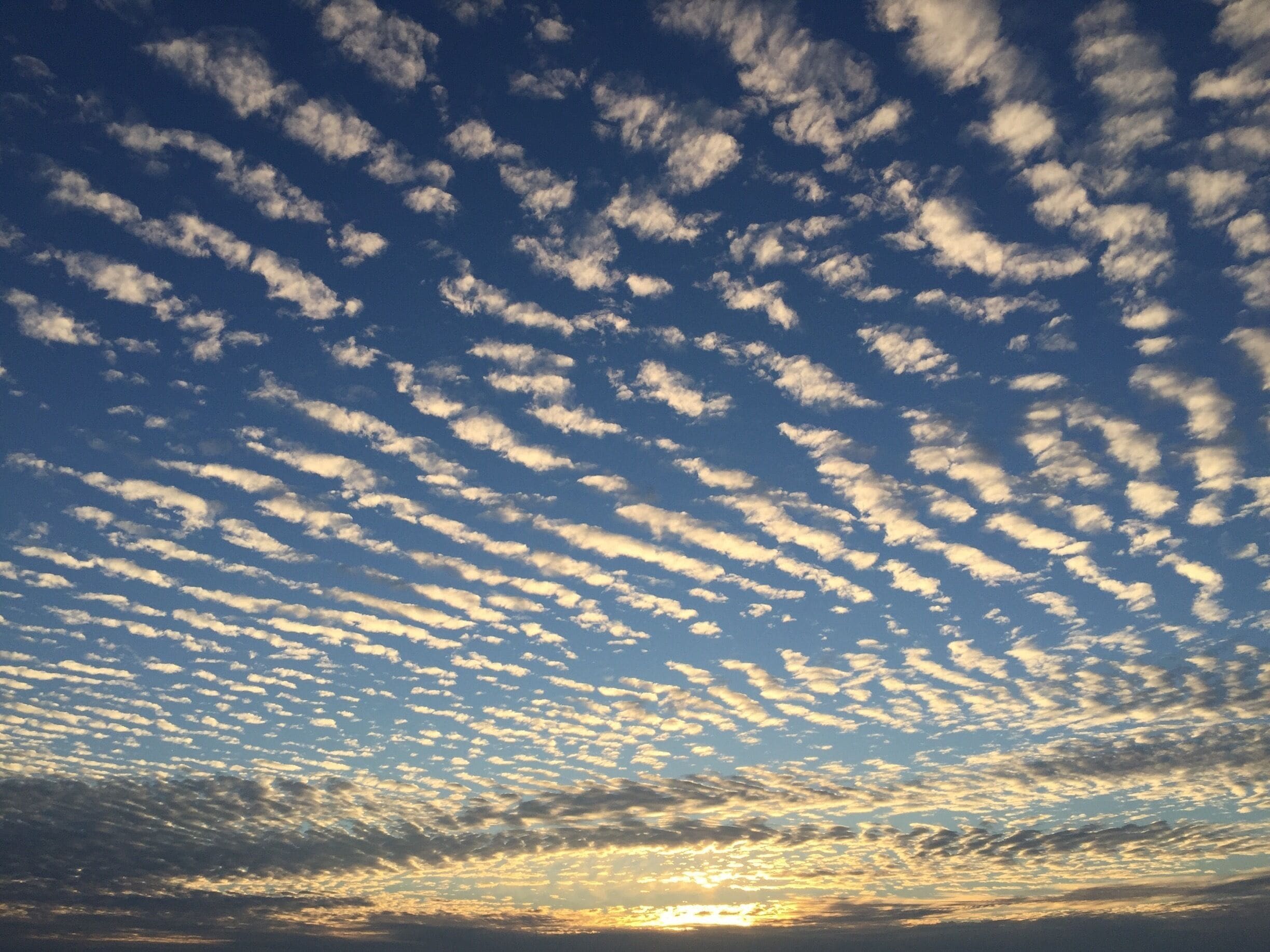 Took this photo while standing on the edge of the water at Cama Beach State Park. There are adorable little cabins for rent on the beach. Great for crabbing, boating, and serious barbecuing. 