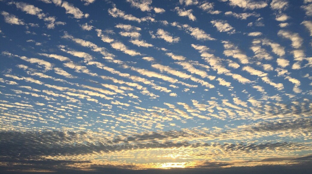 Took this photo while standing on the edge of the water at Cama Beach State Park. There are adorable little cabins for rent on the beach. Great for crabbing, boating, and serious barbecuing.