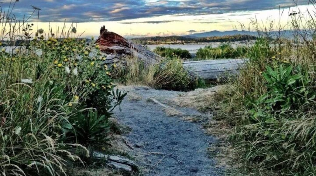 Iverson Spit Preserve on Camano Island. Nice views of the Cascades when it's clear and a fun place to play at low tide.