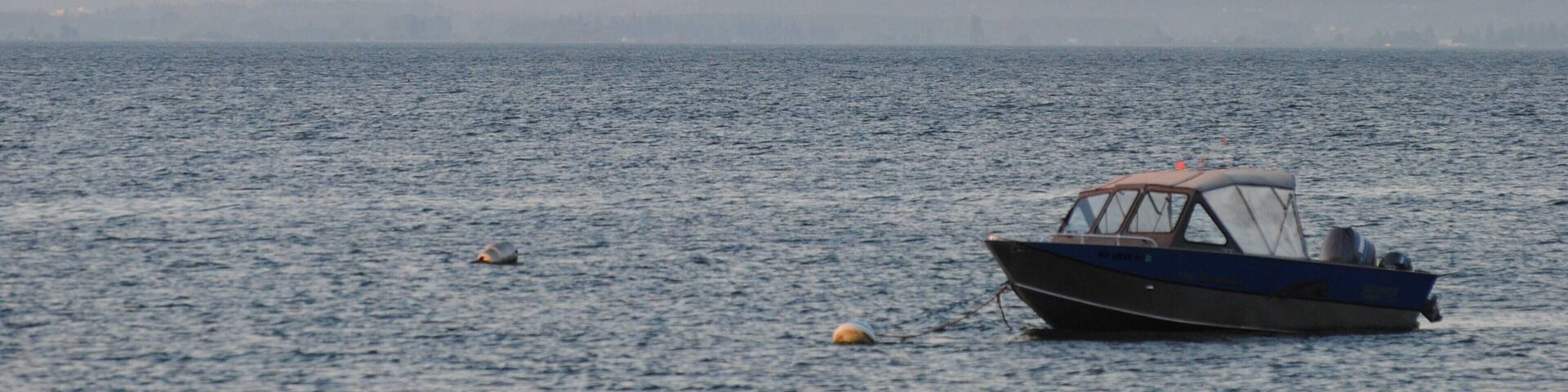 My family has owned a cabin on the island for 61 years and it is where I spend most my weekends in the summer