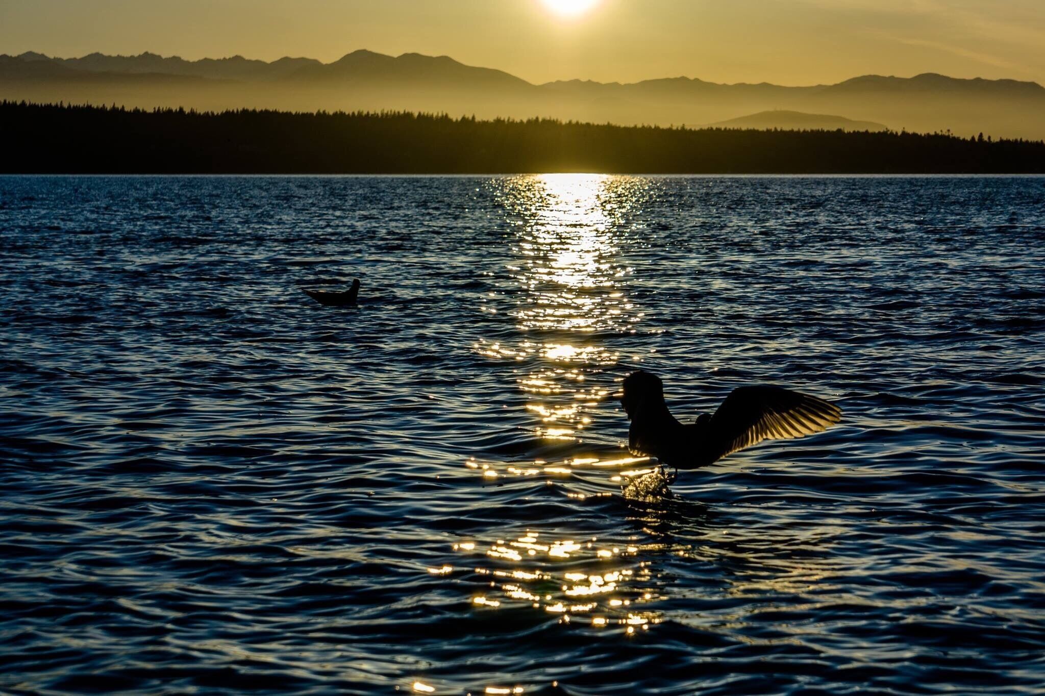 60 miles from Seattle. It is such a quiet place to enjoy the Sunset on the beach.