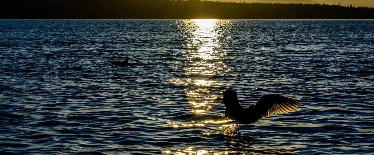 60 miles from Seattle. It is such a quiet place to enjoy the Sunset on the beach.