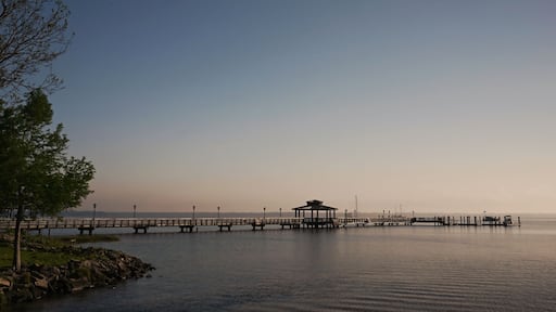 Pier reaching far into the St. Johns River on a clear, bright morning in Florida