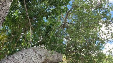 Kayaking on Peace River #Waterlust
