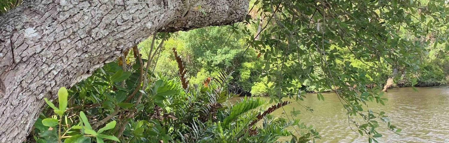 Kayaking on Peace River #Waterlust