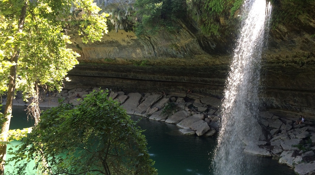 Amazing place to swim