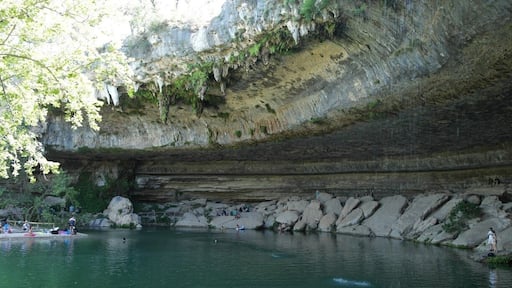 Hamilton Pool Preserve is a historic swimming hole located 3/4 mile upstream from its confluence with the Pedernales River, which is right outside of Austin. Hamilton Creek spills out over limestone outcroppings to create a 50 foot waterfall as it plunges into the head of a steep box canyon. The waterfall never completely dries up, but in dry times it does slow to a trickle. However, the pool's water level stays pretty constant, even during periods of drought. No pets of any kind are allowed. Only a limited number of people are allowed to enter so arrive early, people wait outside and as people leave, others are allowed in. There are no lifeguards on duty so swim at your own risk. There are areas that get pretty deep.