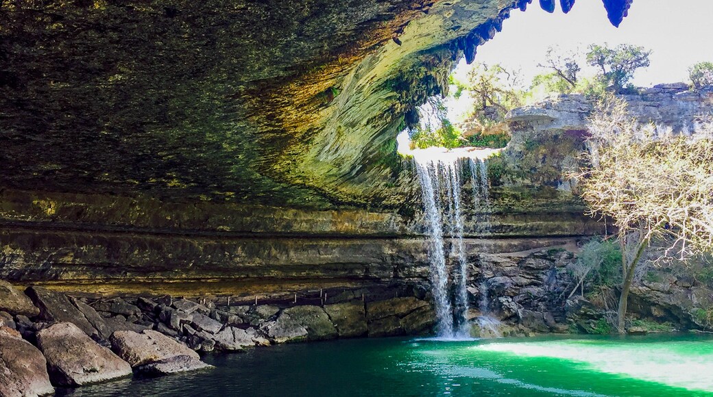 دريبينج سبرينجس