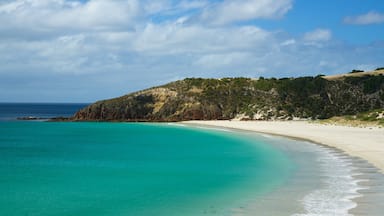 Snelling Beach presenterar en sandstrand och kustutsikter