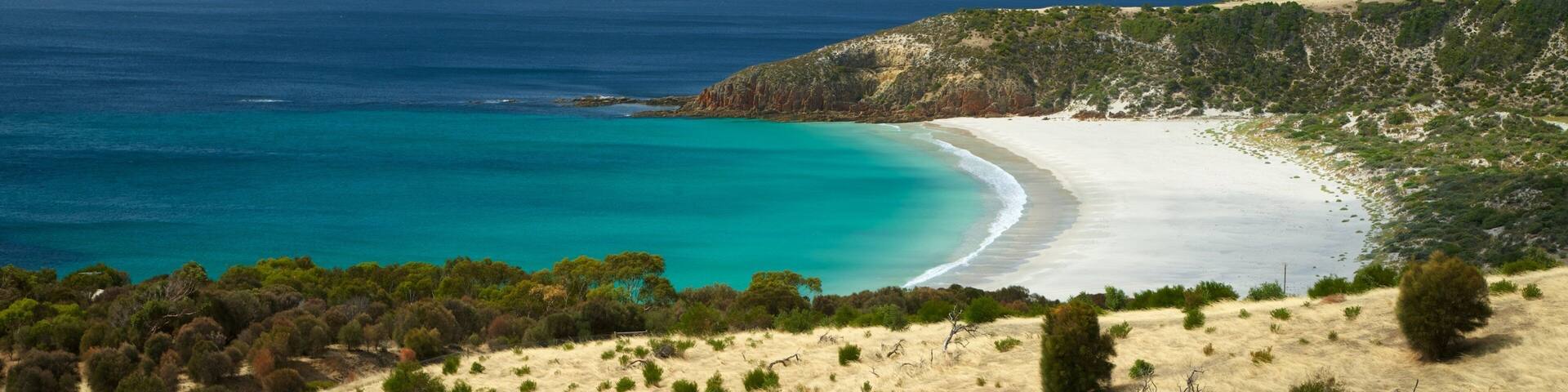 Snelling Beach showing general coastal views and a beach