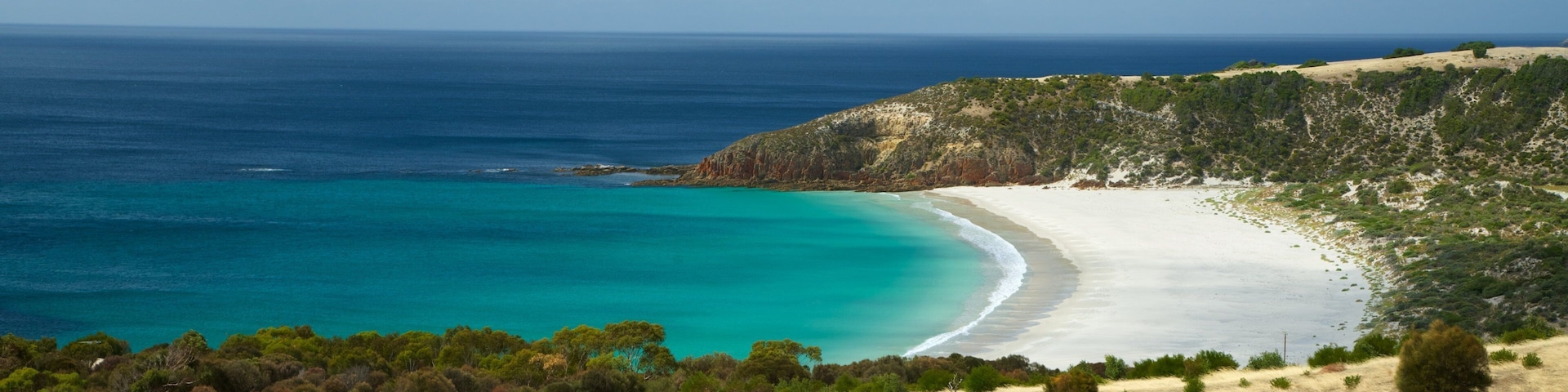 Snelling Beach showing general coastal views and a beach