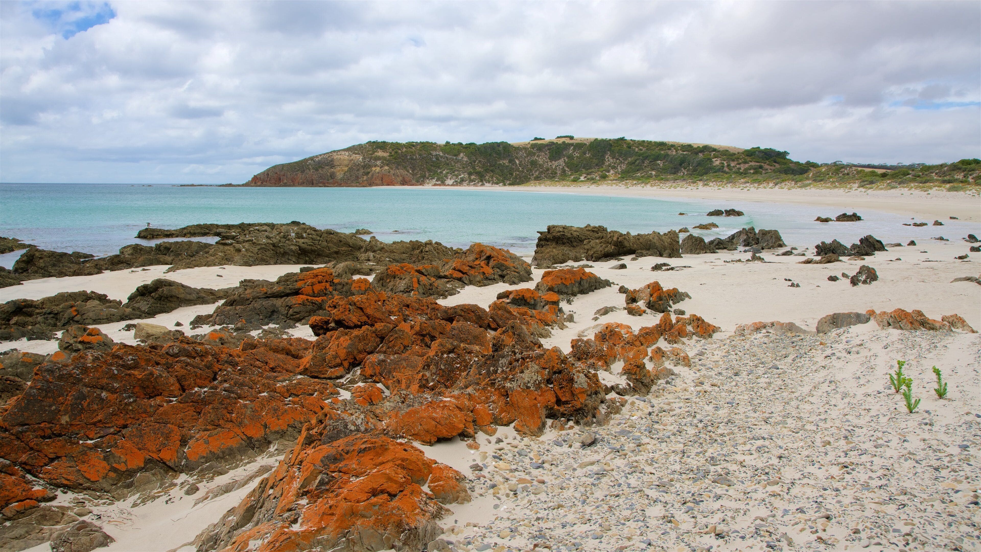 A rocky beach with orange lichen, white sand, and a distant hill.