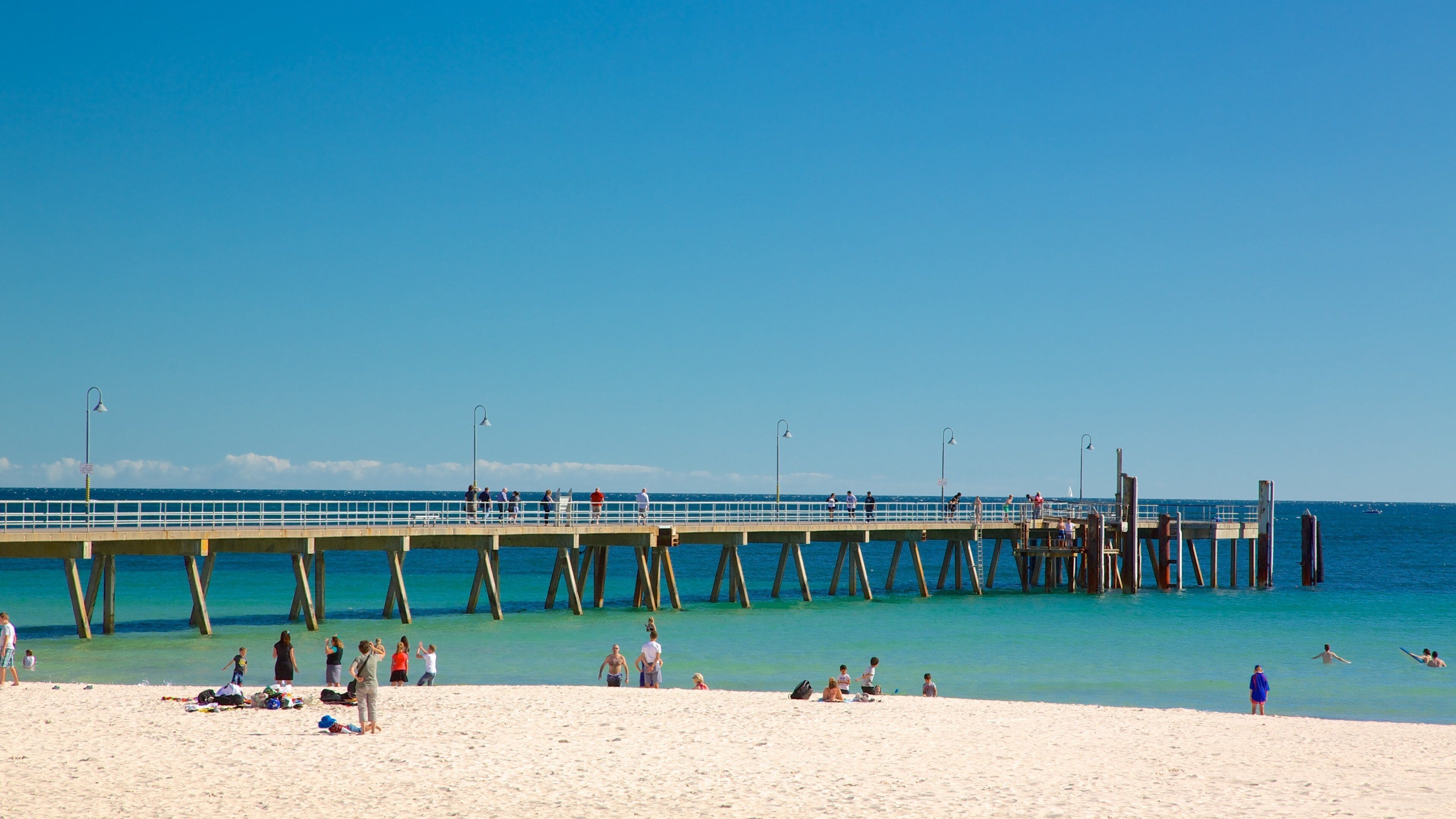 Adelaide featuring general coastal views and a beach