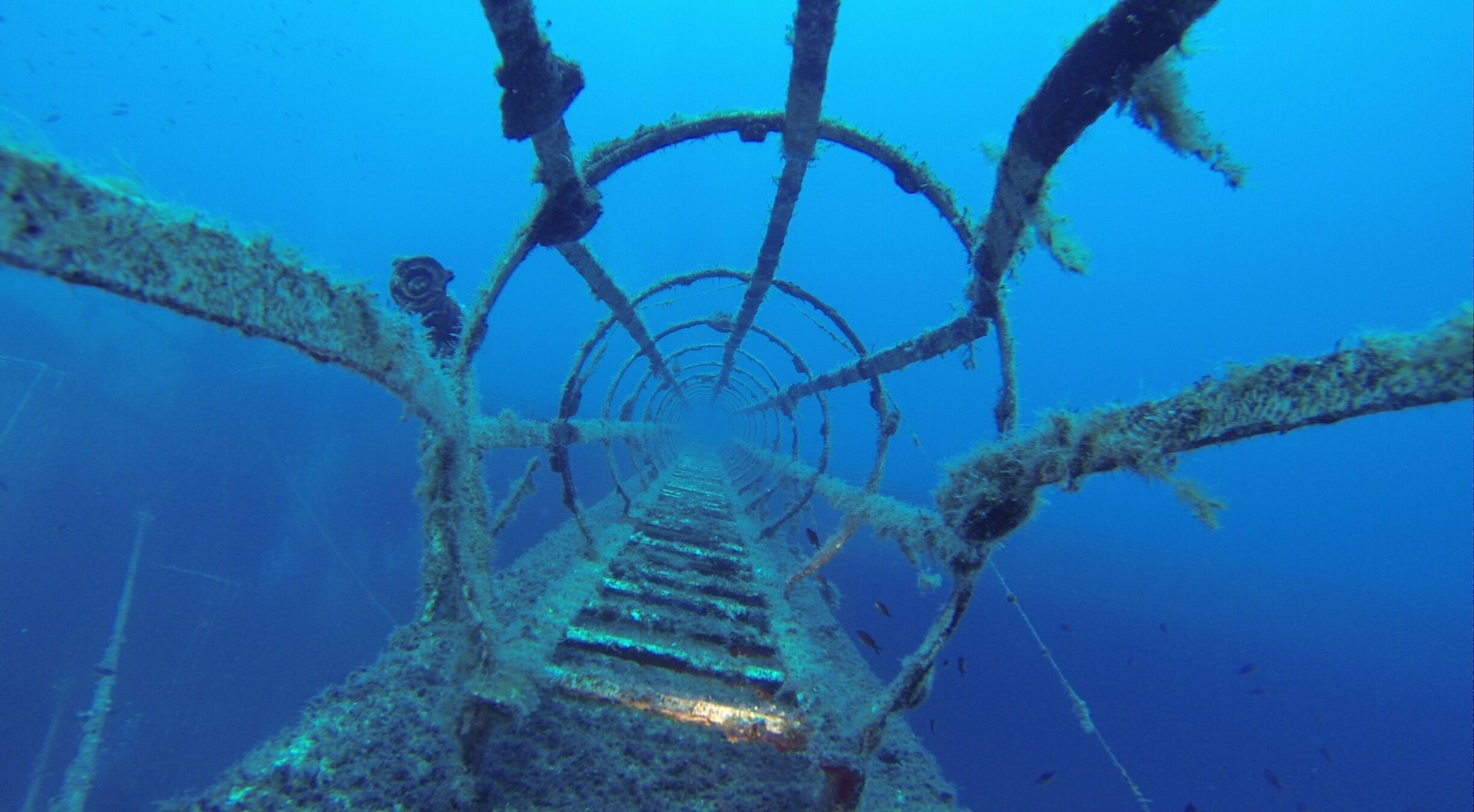 An underwater structure with a central shaft and branching supports.