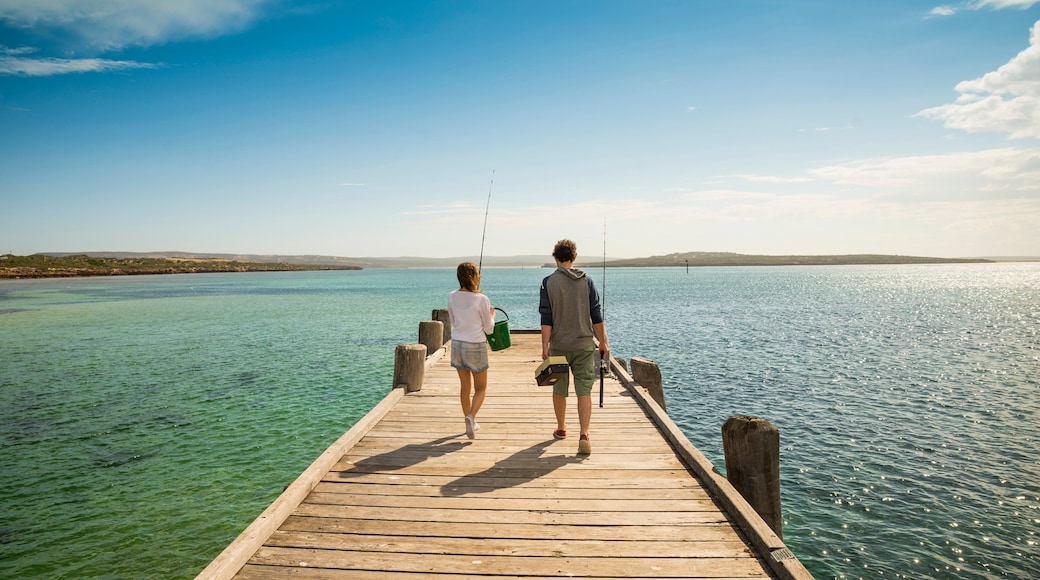 Eyre Peninsula showing general coastal views and fishing as well as a small group of people