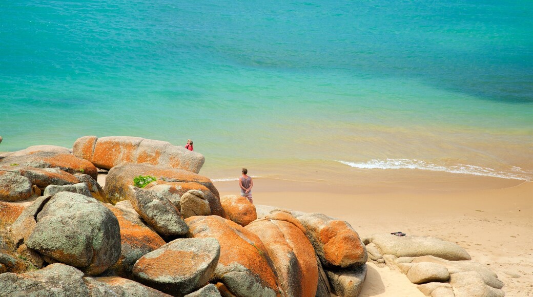 Limestone Coast - Fleurieu Peninsula qui includes cÎte escarpée et plage de sable aussi bien que couple