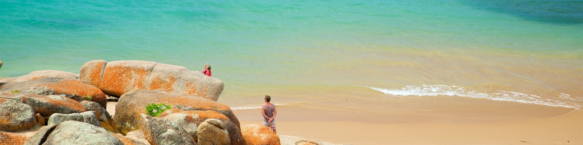 Costa de Limestone, Península de Fleurieu que incluye costa escarpada y una playa y también una pareja