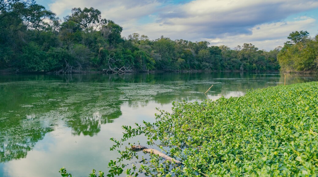lago El Salado, castelli - chaco - argentina