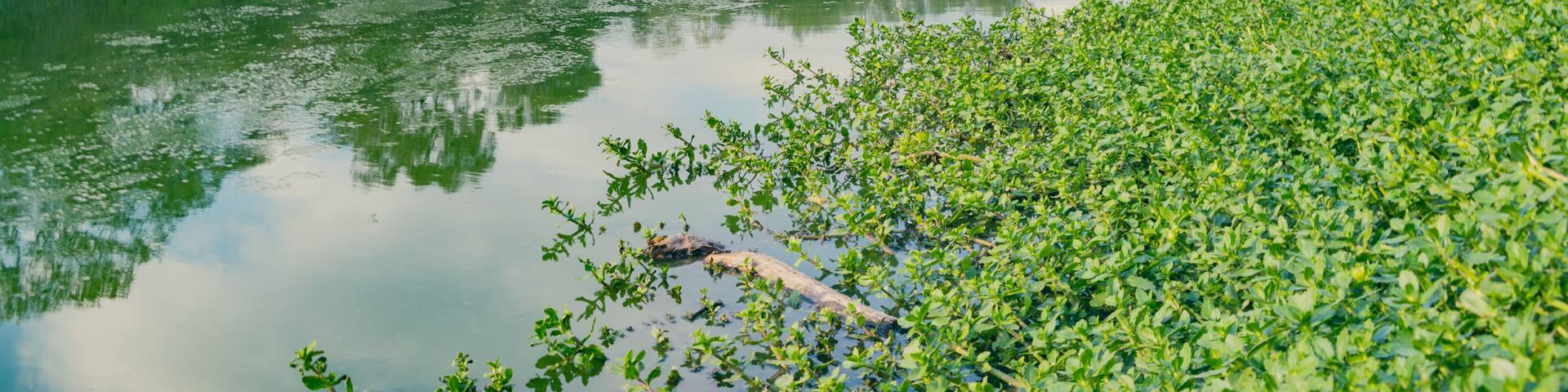 lago El Salado, castelli - chaco - argentina