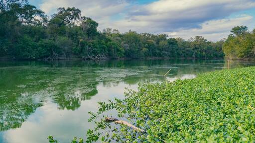 lago El Salado, castelli - chaco - argentina