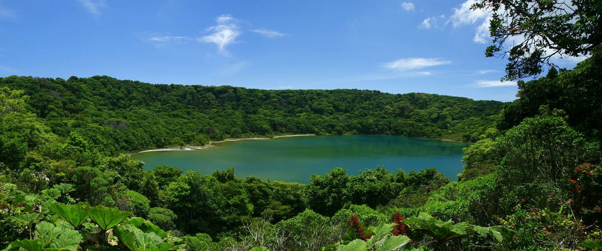 A lush green forest surrounding a calm turquoise lake.