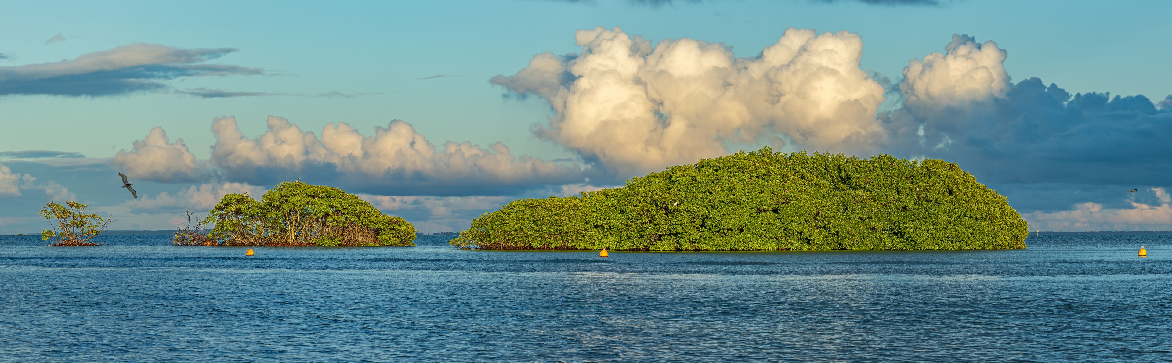 A tropical island landscape with dense greenery and calm waters.