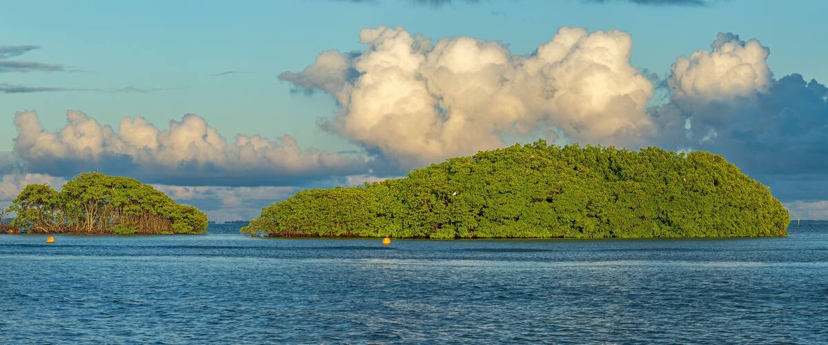 A tropical island landscape with dense greenery and calm waters.