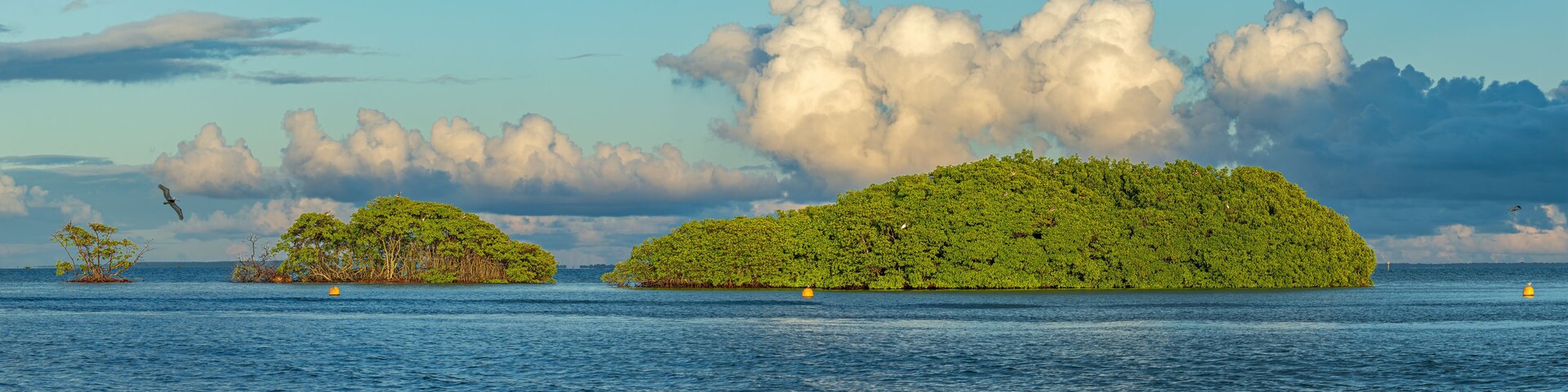 A tropical island landscape with dense greenery and calm waters.