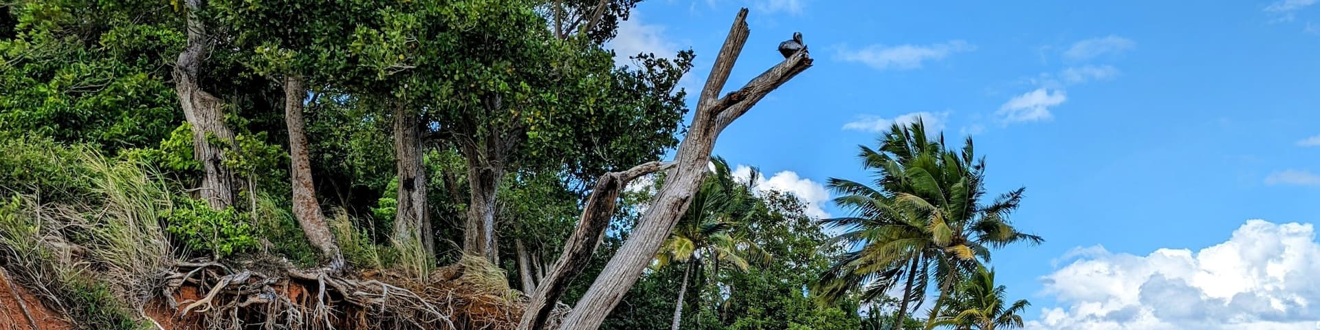 SAINTE-ROSE (Guadeloupe)