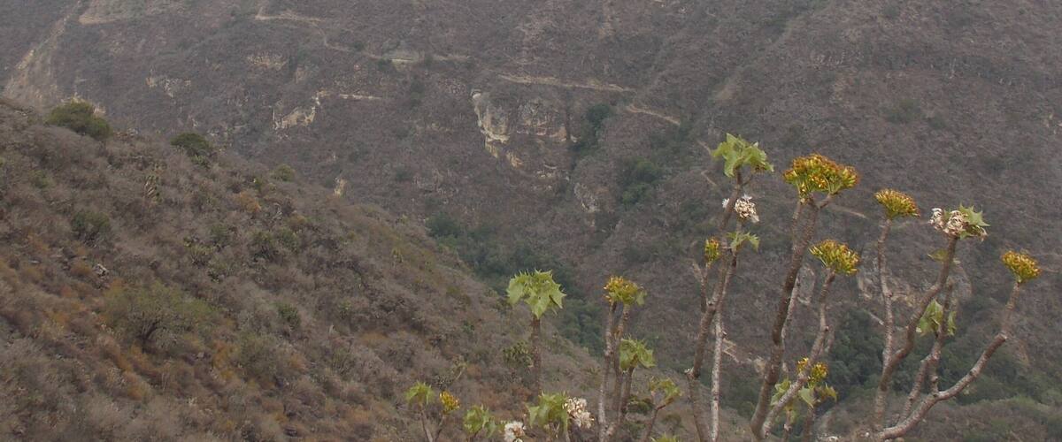 Este fue un viaje reciente a Huasca de Ocampo, en el estado de Hidalgo, en México. Lo especial es que fue un viaje inesperado, un poco improvisado, que salió de maravilla y disfruté bastante.