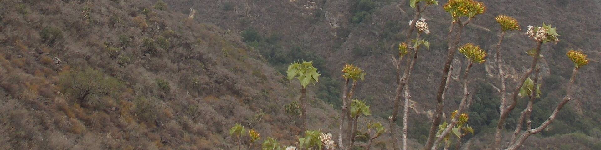 Este fue un viaje reciente a Huasca de Ocampo, en el estado de Hidalgo, en México. Lo especial es que fue un viaje inesperado, un poco improvisado, que salió de maravilla y disfruté bastante.