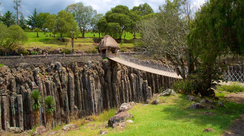 San Miguel Regla featuring a suspension bridge or treetop walkway and a garden