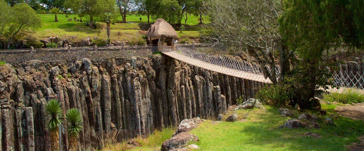 San Miguel Regla featuring a suspension bridge or treetop walkway and a garden