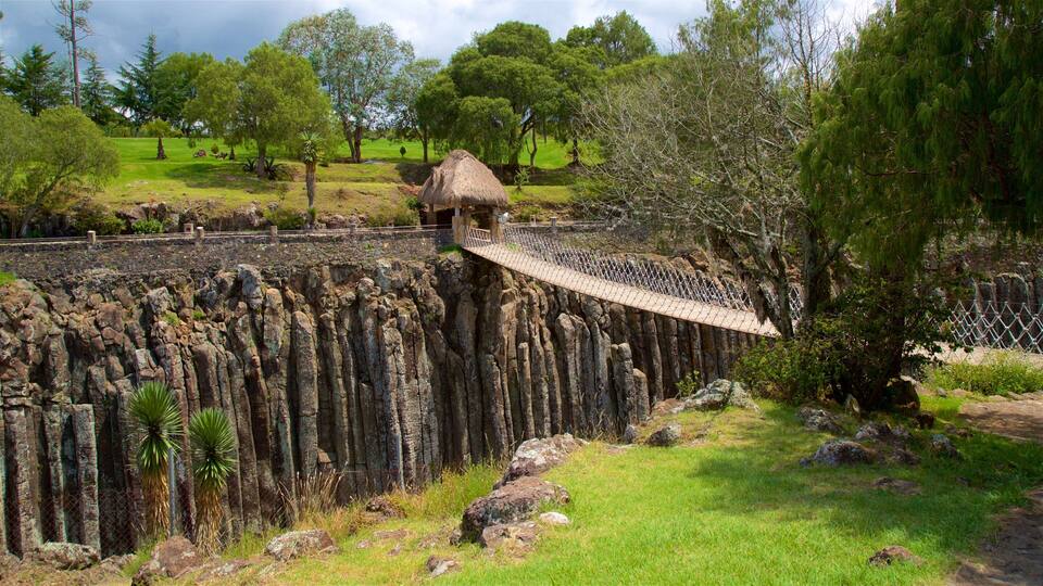 A rope bridge over a rocky cliff, surrounded by lush greenery and trees.